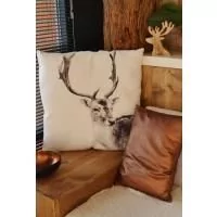 Home & Decor