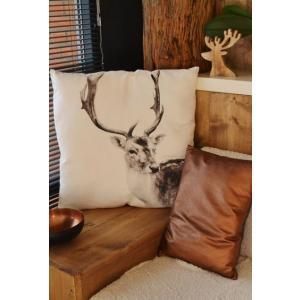Home & Decor
